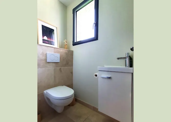 Le Pech De Vigne * Bio (Lot)