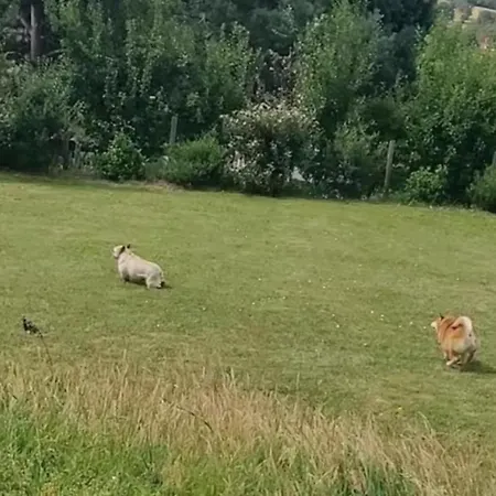 Le Pech De Vigne Hébergement de vacances